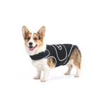 Back Support Brace | Spinal Stability