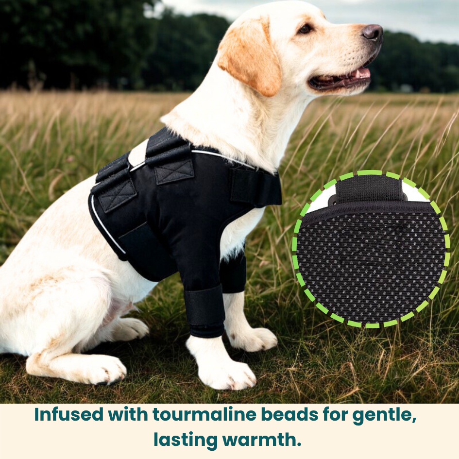 Front Leg Brace | Shoulder Support