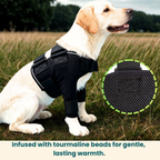Front Leg Brace | Shoulder Support