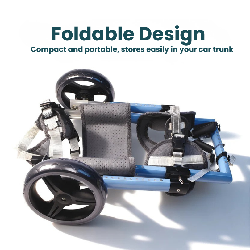 Convertible Wheelchair | 2-to-4 Wheel Support