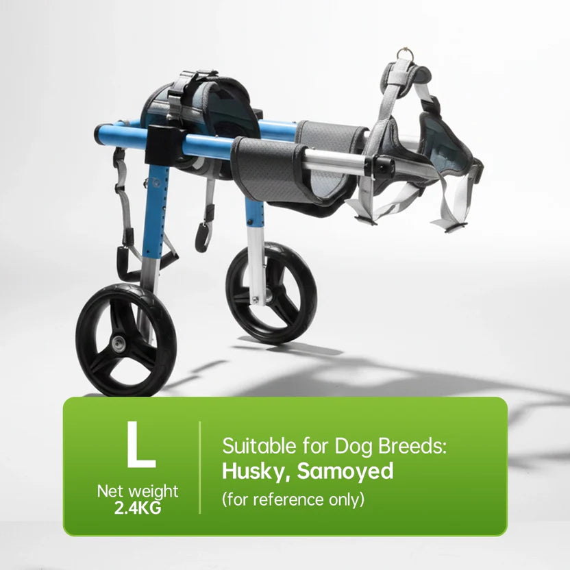 All-Sizes Dog Wheelchair: Adjustable for Full Body Support