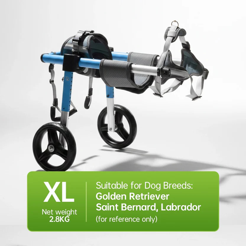 All-Sizes Dog Wheelchair: Adjustable for Full Body Support