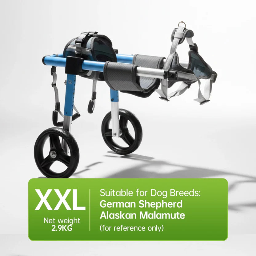 All-Sizes Dog Wheelchair: Adjustable for Full Body Support