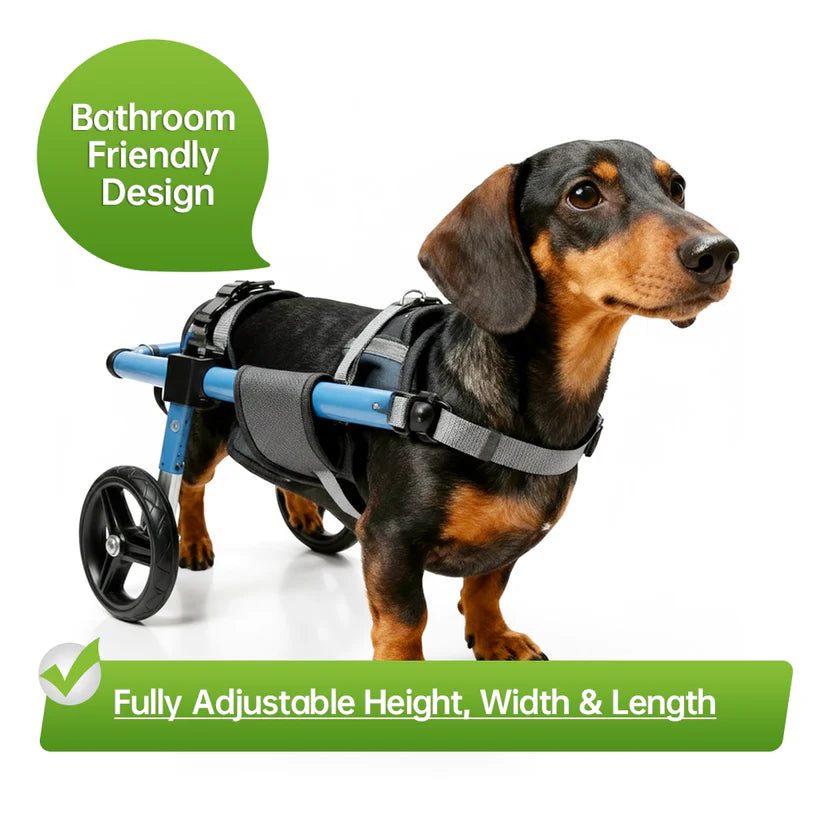 All-Sizes Dog Wheelchair: Adjustable for Full Body Support
