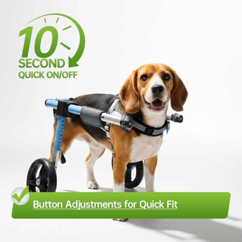 All-Sizes Dog Wheelchair: Adjustable for Full Body Support