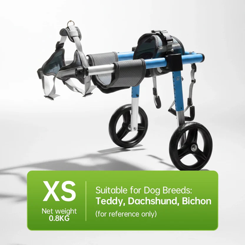 All-Sizes Dog Wheelchair: Adjustable for Full Body Support