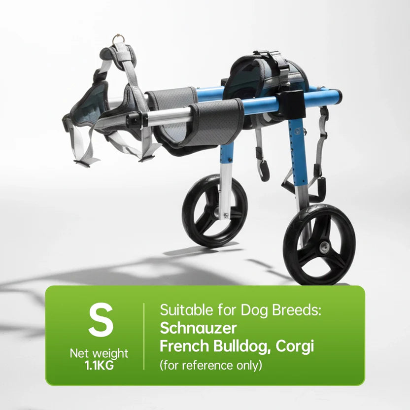 All-Sizes Dog Wheelchair: Adjustable for Full Body Support