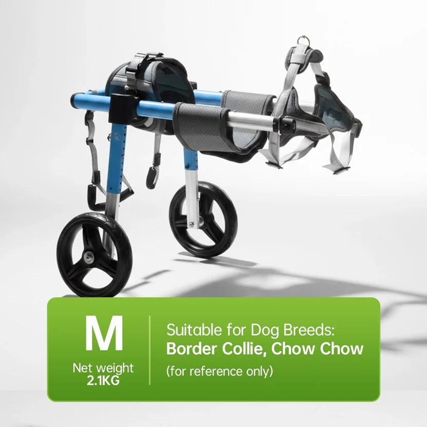 All-Sizes Dog Wheelchair: Adjustable for Full Body Support