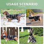 Back Support Brace | Spinal Stability