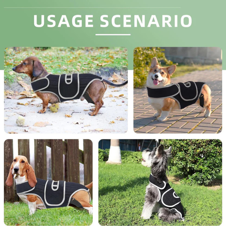 Back Support Brace | Spinal Stability