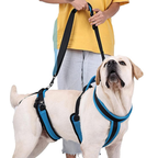 Full-Body Harness | Mobility Aid