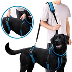 Full-Body Harness | Mobility Aid