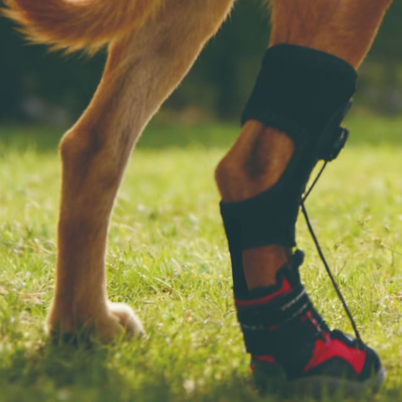 Anti-Knuckling Support Boot for Dogs