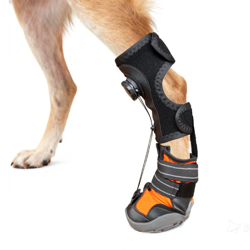 Anti-Knuckling Support Boot for Dogs