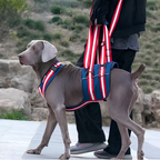 Dog Rear Support Harness for Mobility Assistance