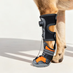 Anti-Knuckling Support Boot for Dogs