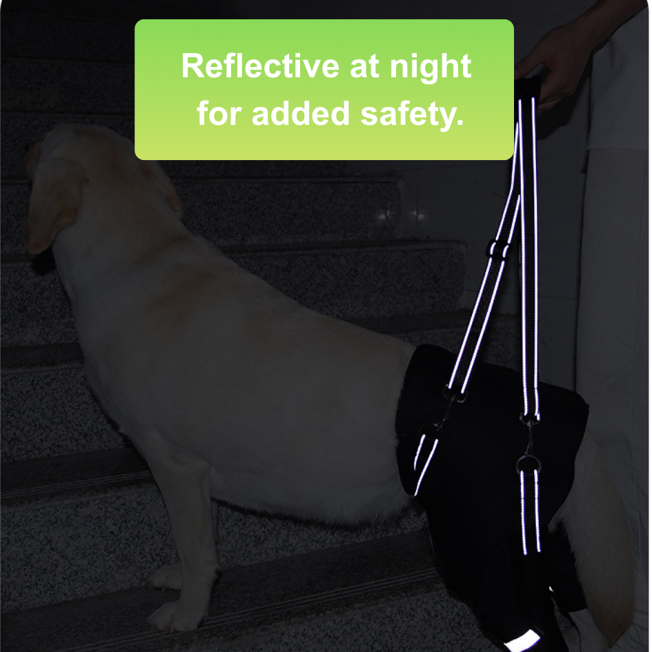 Rear Leg Support Harness for Senior & Injured Dogs