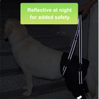 Rear Leg Support Harness for Senior & Injured Dogs