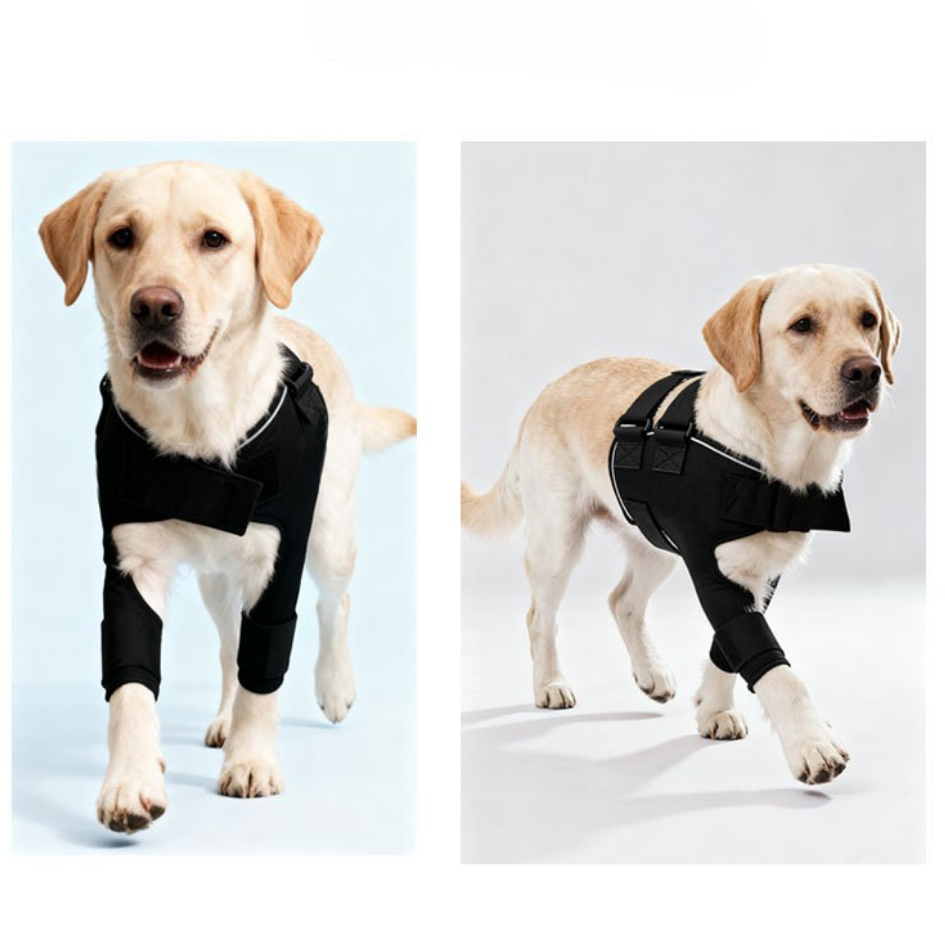Front Leg Brace | Shoulder Support