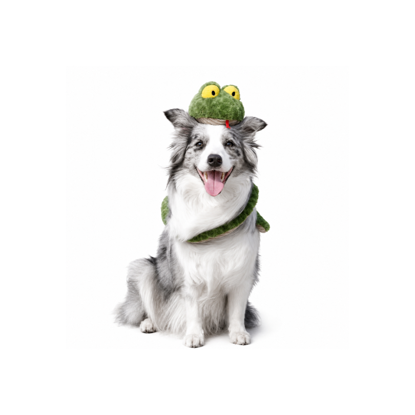 Daizy Snake Dog Toy – Soft Wrap-Around Chew Toy & Photo Prop
