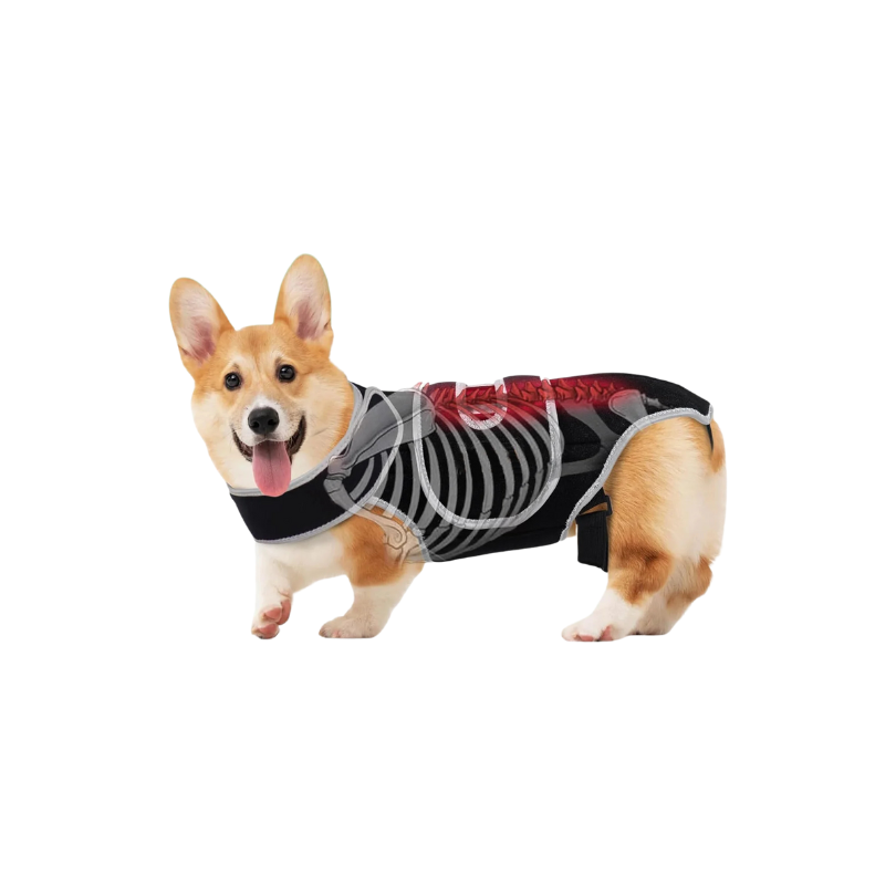 Dog Back Support Vest for Spinal Stabilization & Assisted Mobility