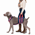 Dog Rear Support Harness for Mobility Assistance