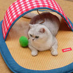 Slipper-Shaped Rattan Weave Pet Cooling Bed