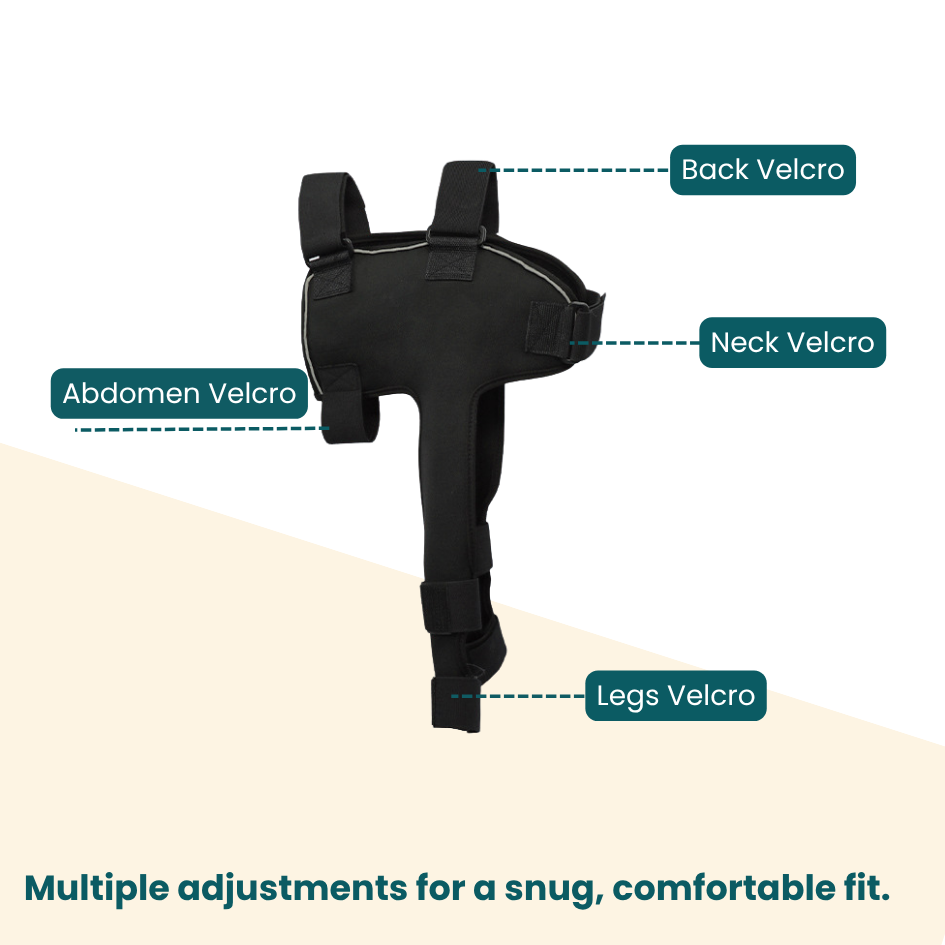 Front Leg Brace | Shoulder Support
