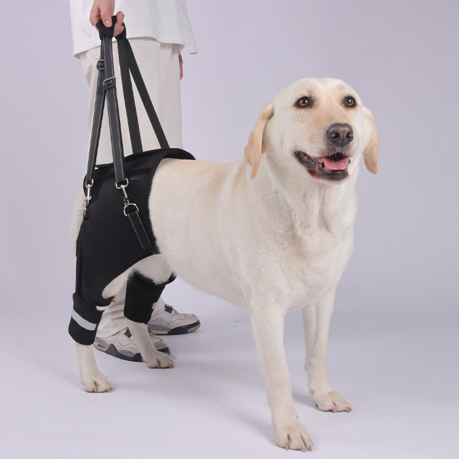 Rear Leg Support Harness for Senior & Injured Dogs