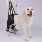 Rear Leg Support Harness for Senior & Injured Dogs