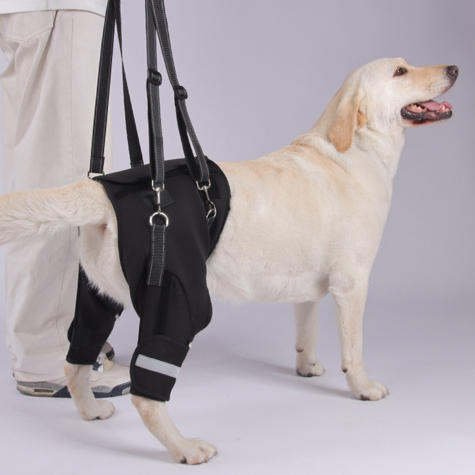 Rear Leg Support Harness for Senior & Injured Dogs