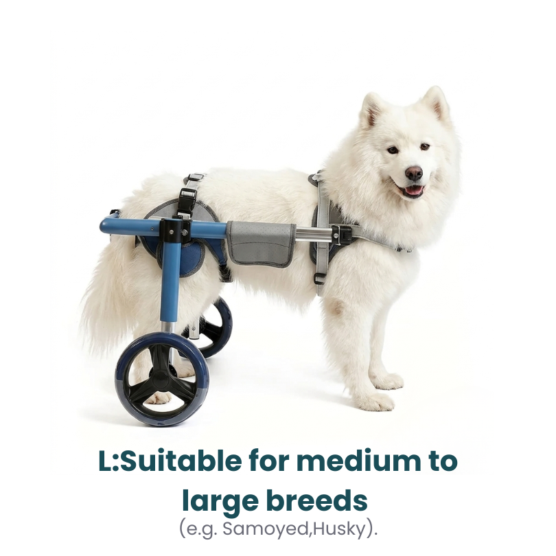 All-Sizes Dog Wheelchair: Adjustable for Full Body Support
