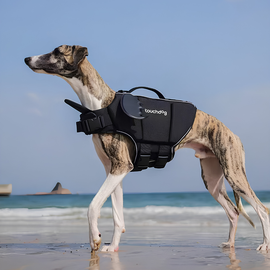 High-Buoyancy Safety Pet Life Jacket with Handle