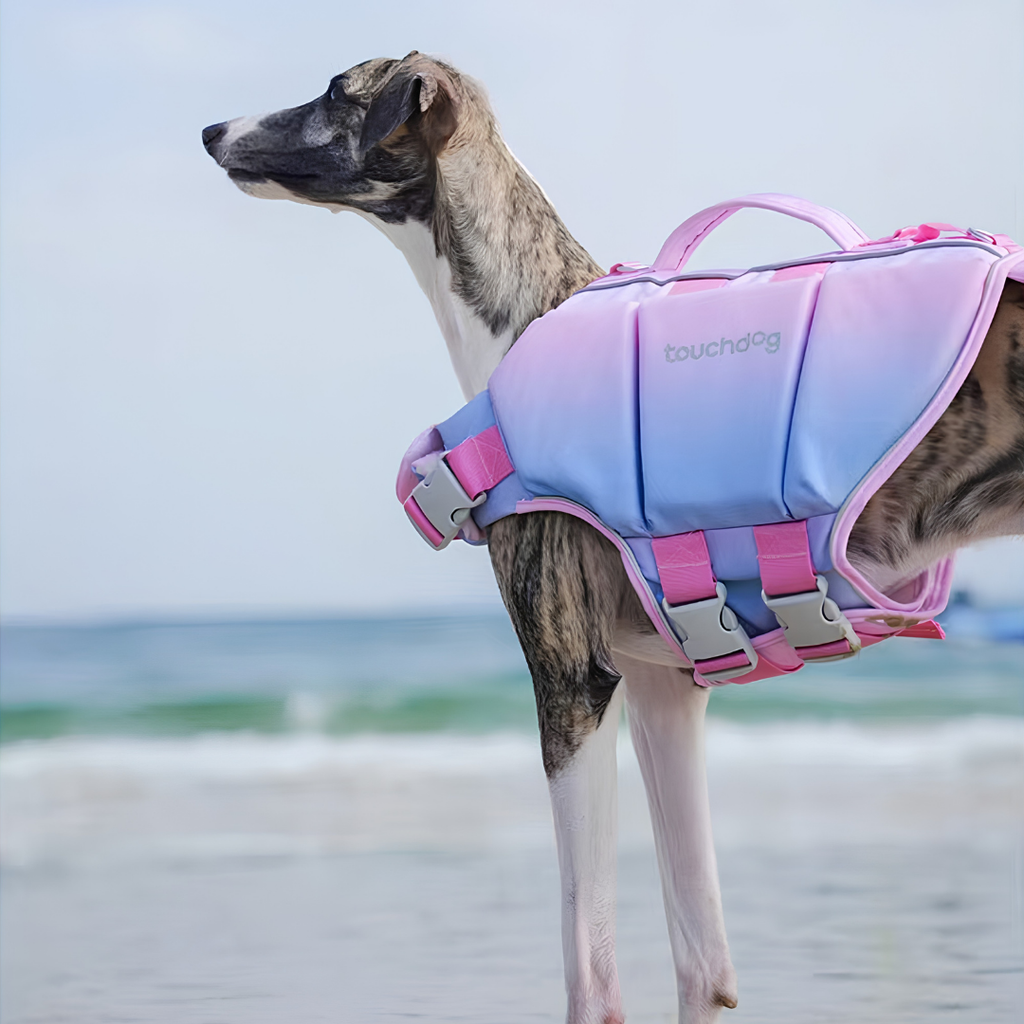 High-Buoyancy Safety Pet Life Jacket with Handle