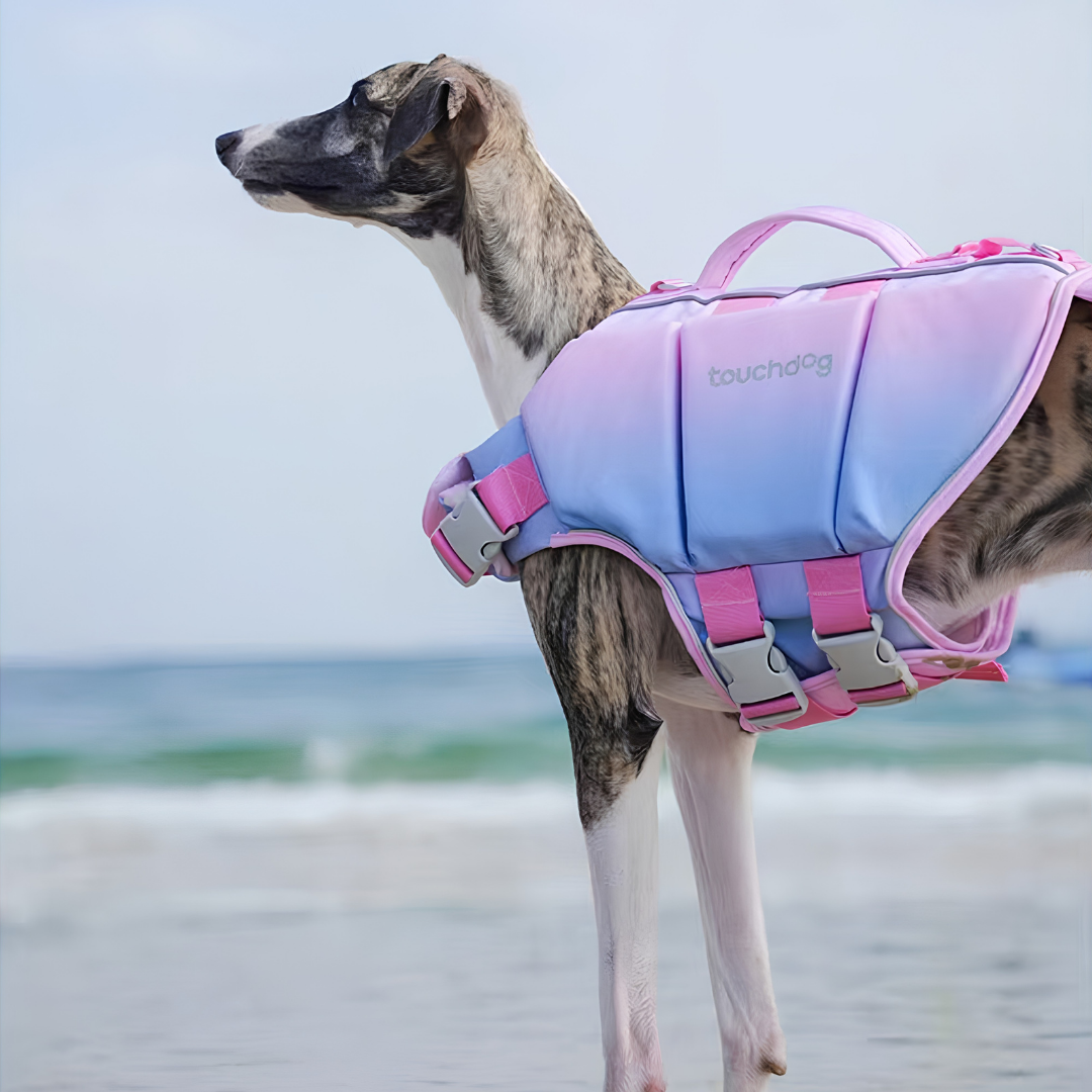 High-Buoyancy Safety Pet Life Jacket with Handle