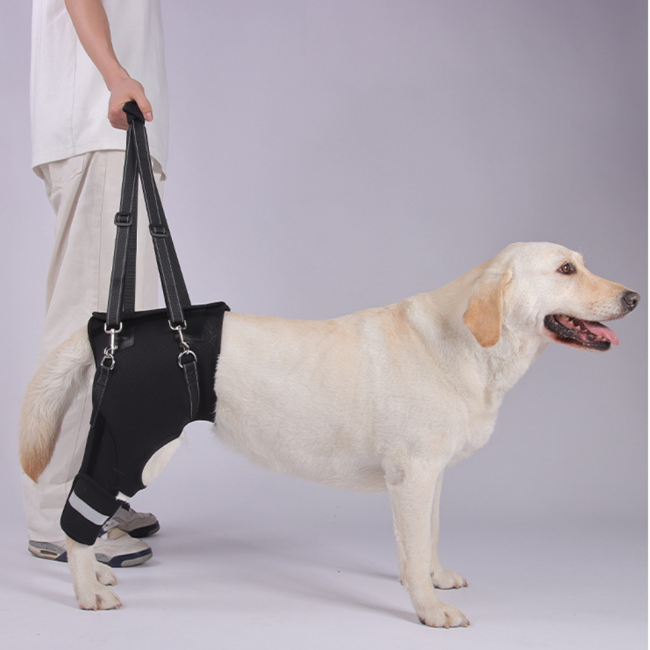 Rear Leg Support Harness for Senior & Injured Dogs