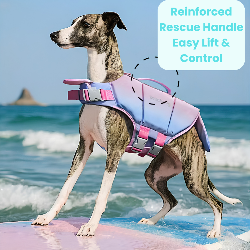 High-Buoyancy Safety Pet Life Jacket with Handle