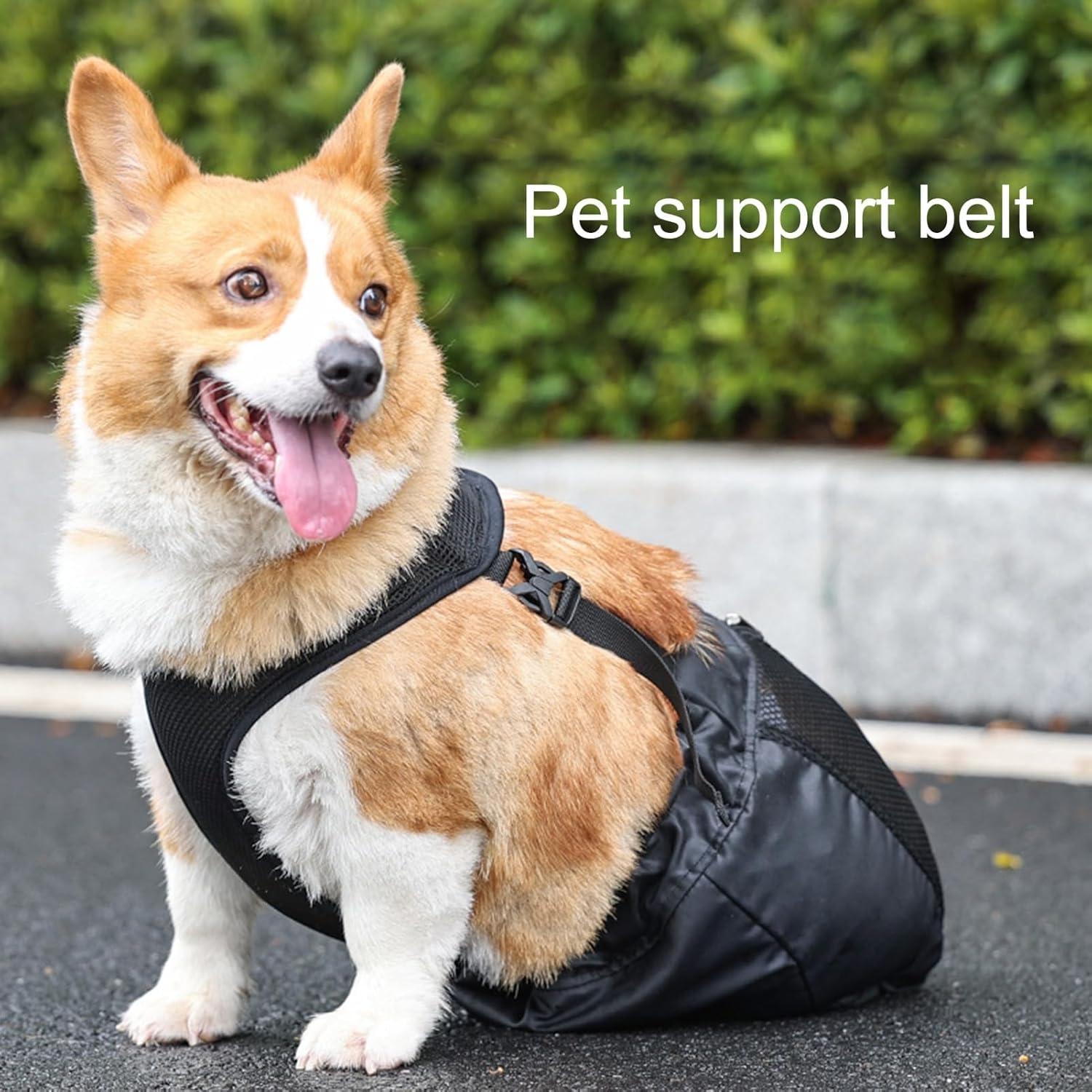 Drag Bag for Paralyzed Dogs – Gentle Indoor Mobility Support