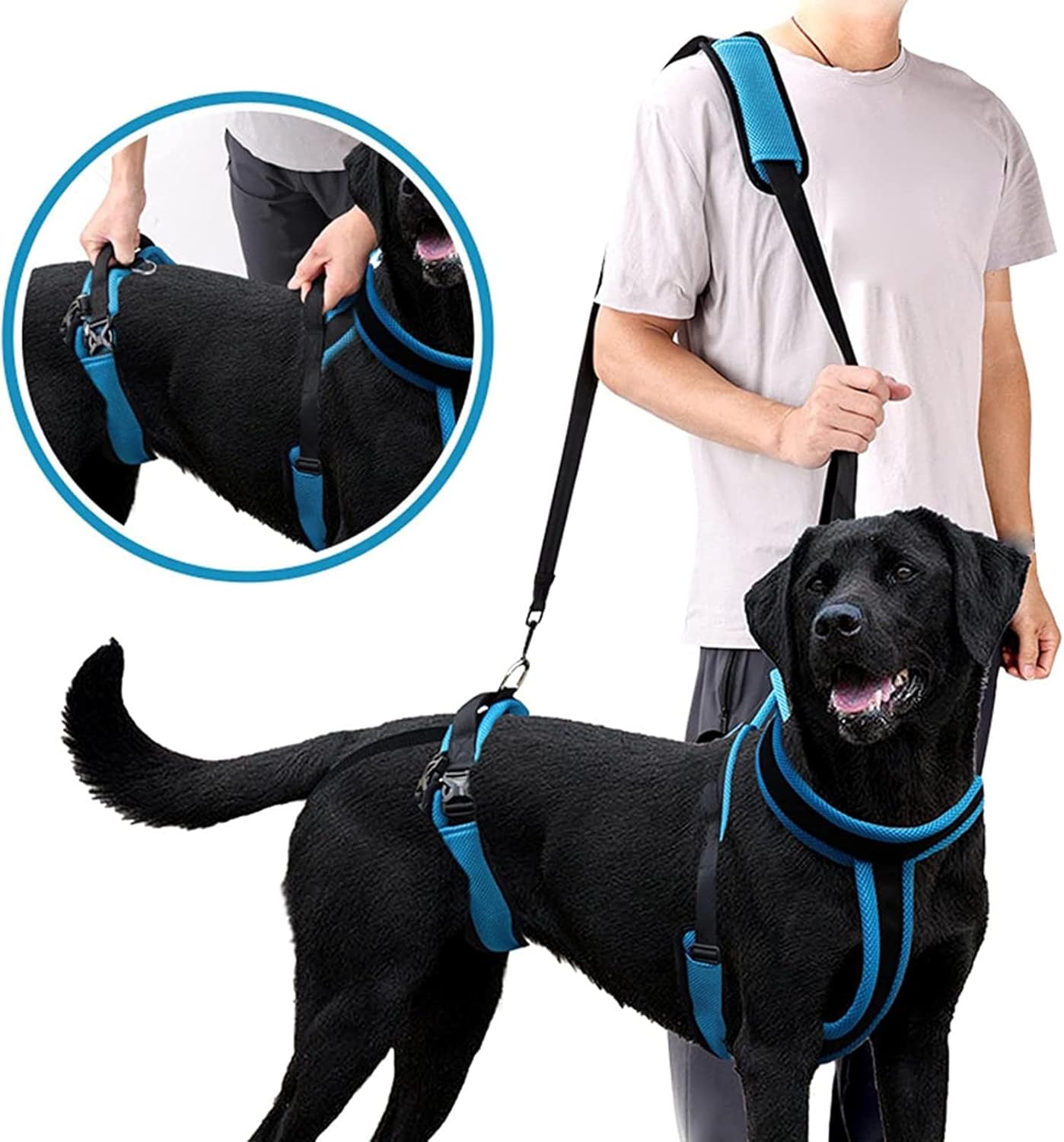 Full-Body Support Harness for Dogs