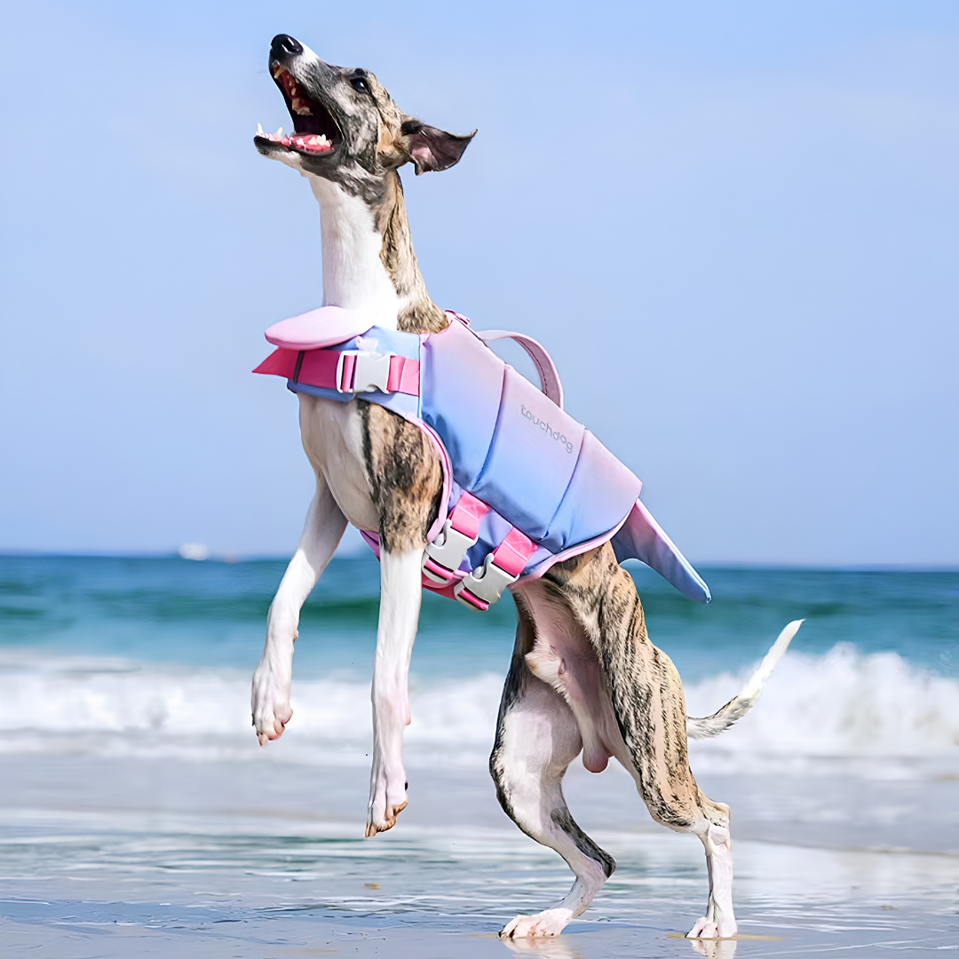 High-Buoyancy Safety Pet Life Jacket with Handle