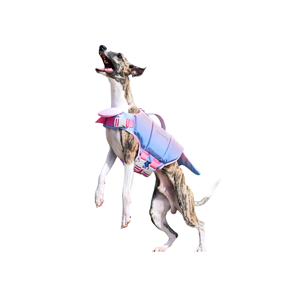 High-Buoyancy Safety Pet Life Jacket with Handle