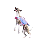 High-Buoyancy Safety Pet Life Jacket with Handle