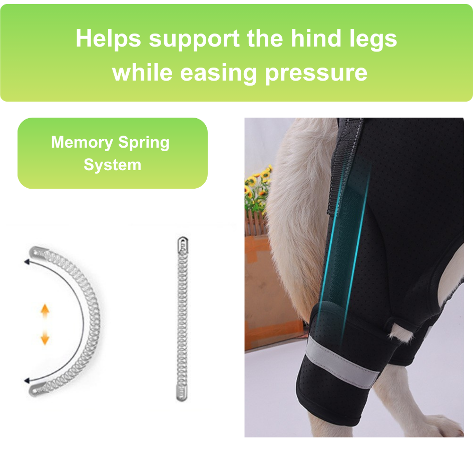 Rear Leg Support Harness for Senior & Injured Dogs