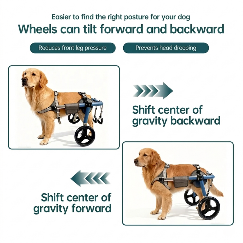 All-Sizes Dog Wheelchair: Adjustable for Full Body Support