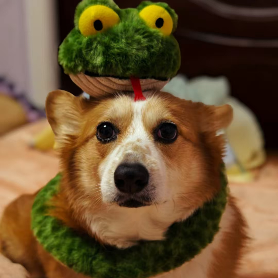 Silly enough to make everyone smile.