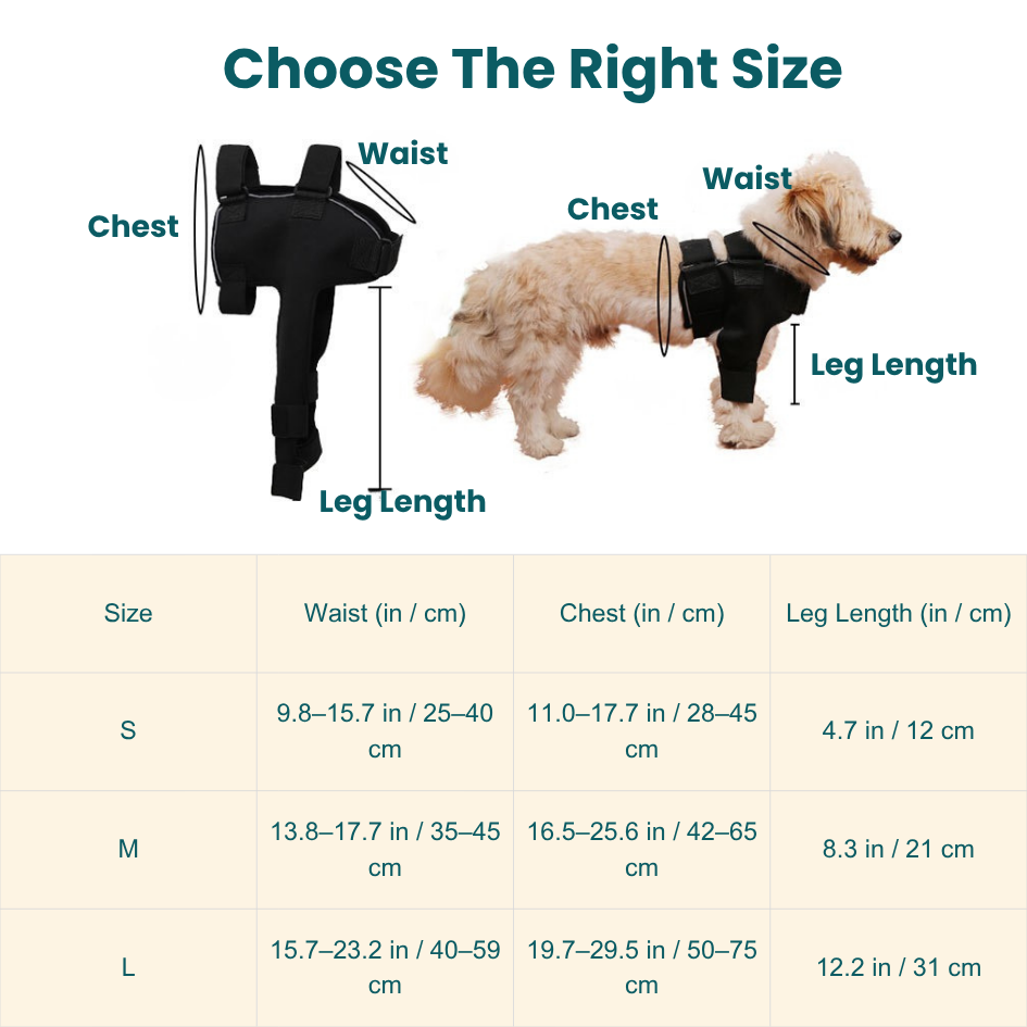 Front Leg Brace | Shoulder Support