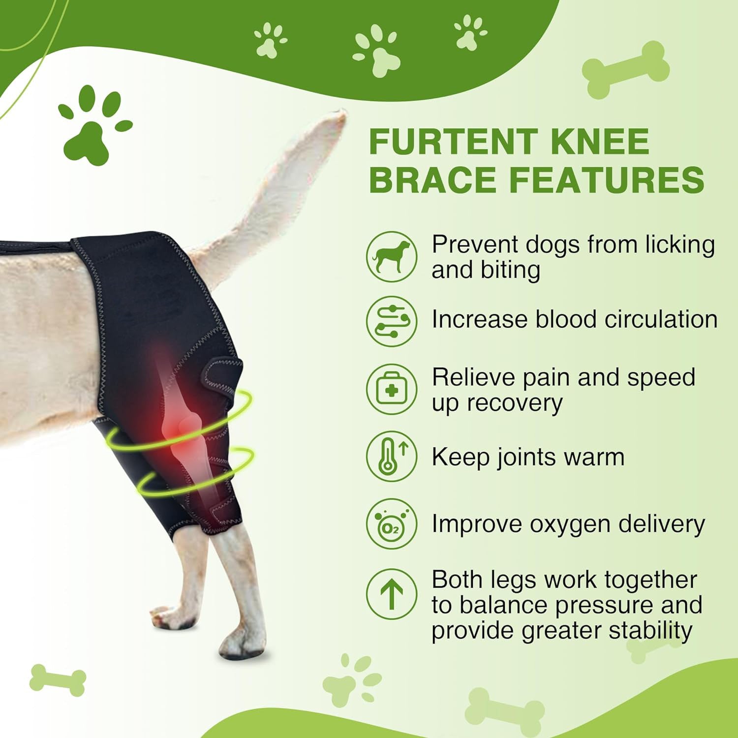 Dog Knee & Joint Support Brace – Warm, Stable Leg Protection for Senior Dogs