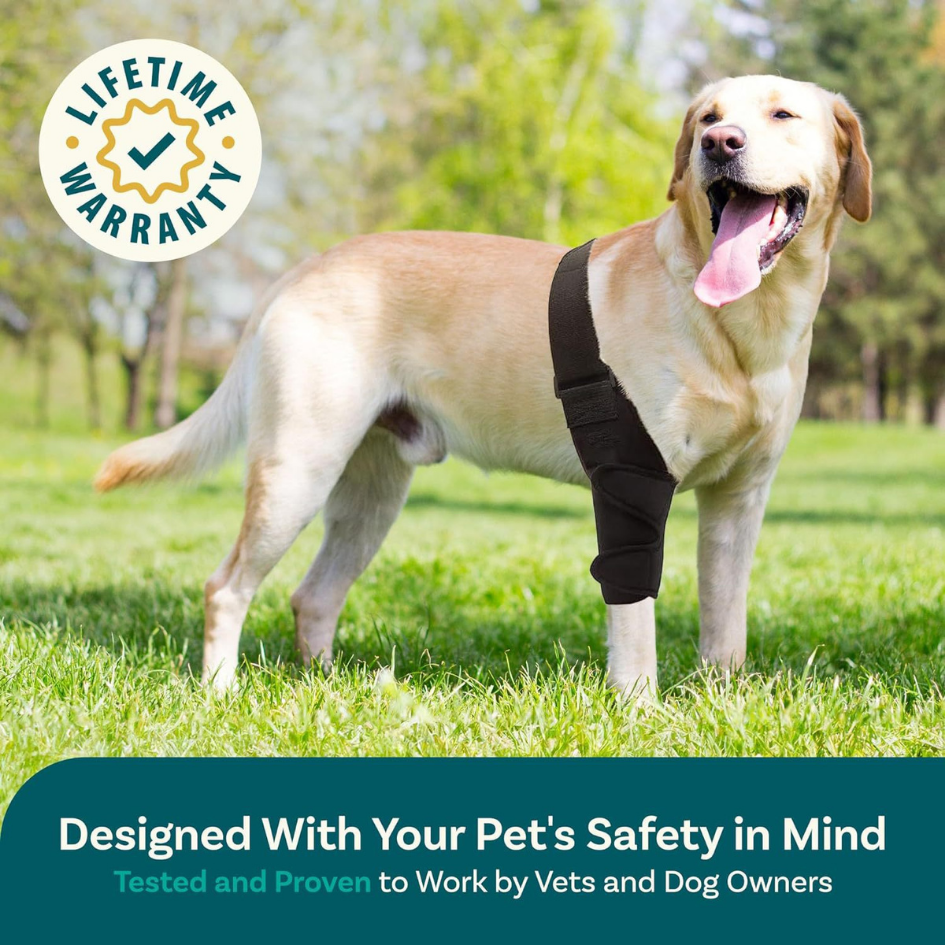 Adjustable Dog Knee Brace – Joint Support for Recovery, Stability & Daily Use
