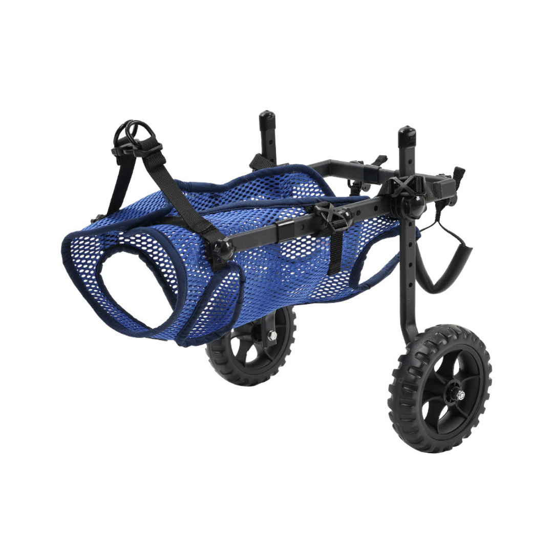 Dog Wheelchair for Small & Medium Dogs – Adjustable Rear & Full Body Support