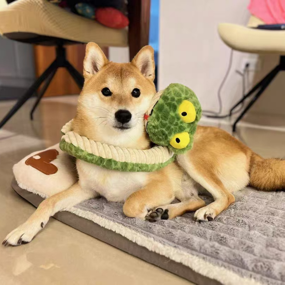 Small paws, big personality, one very silly snake.